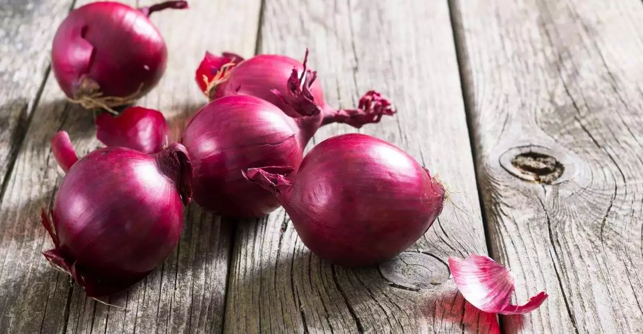 Discover the Spiritual Meaning of Onions in Your Dreams